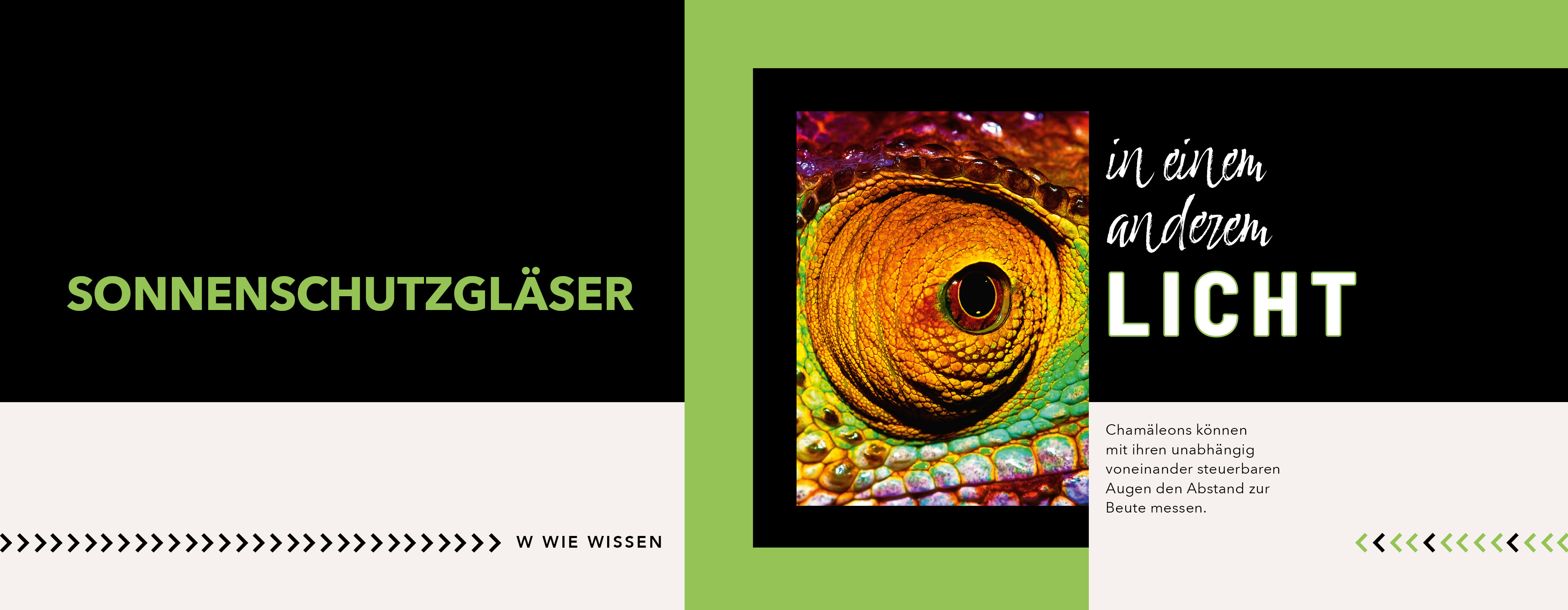 Augenoptik Bißle