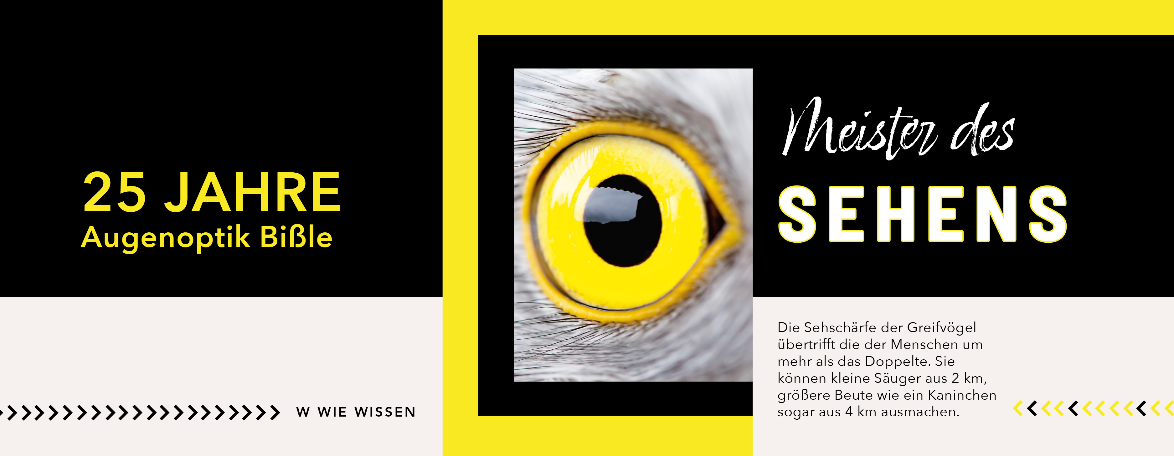 Augenoptik Bißle